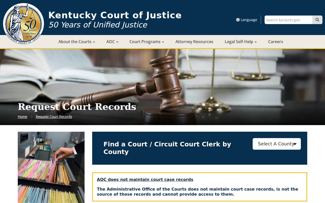 McLean County criminal court case request instructions and archive access